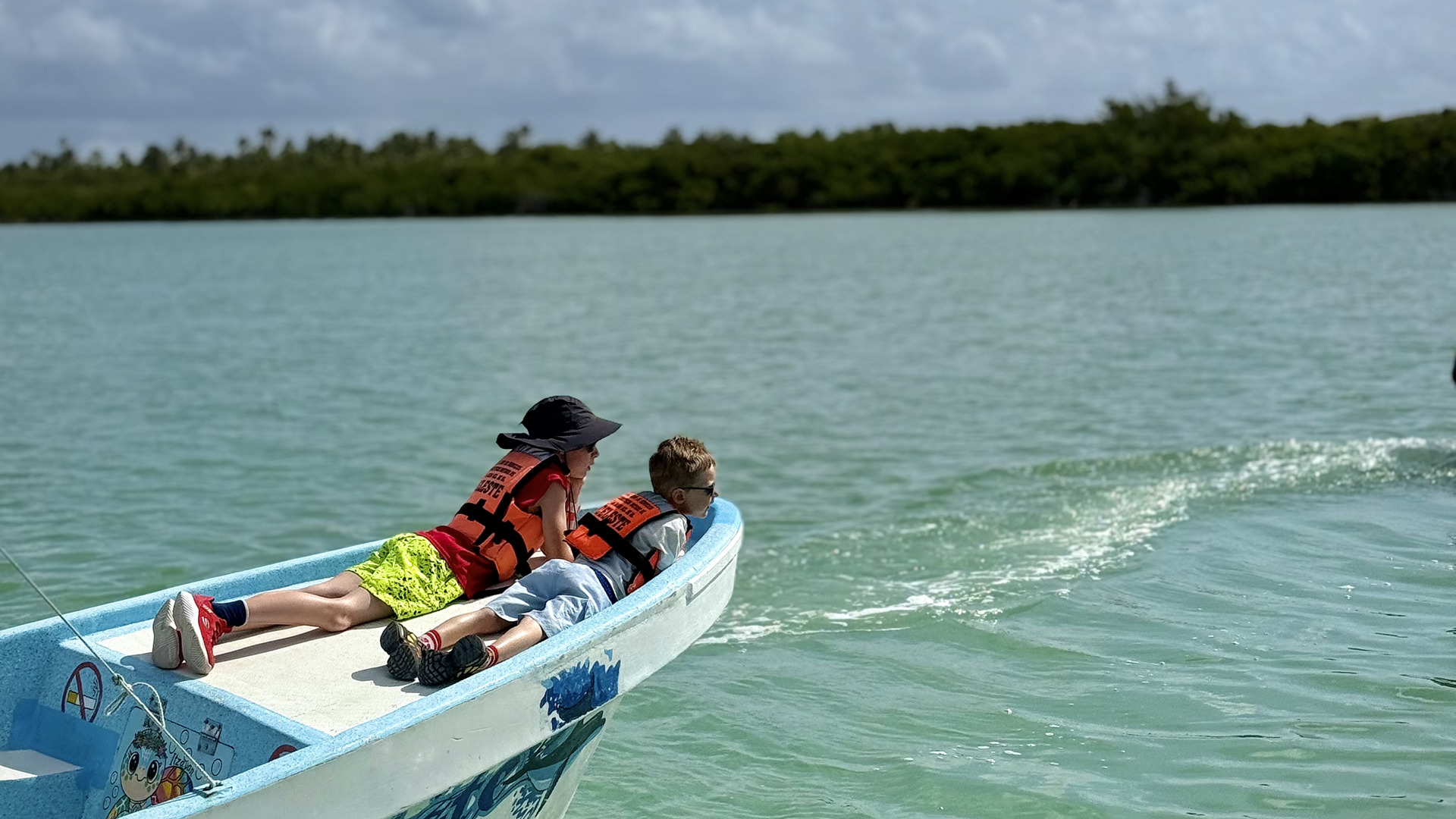 Holbox island private speedboat experience