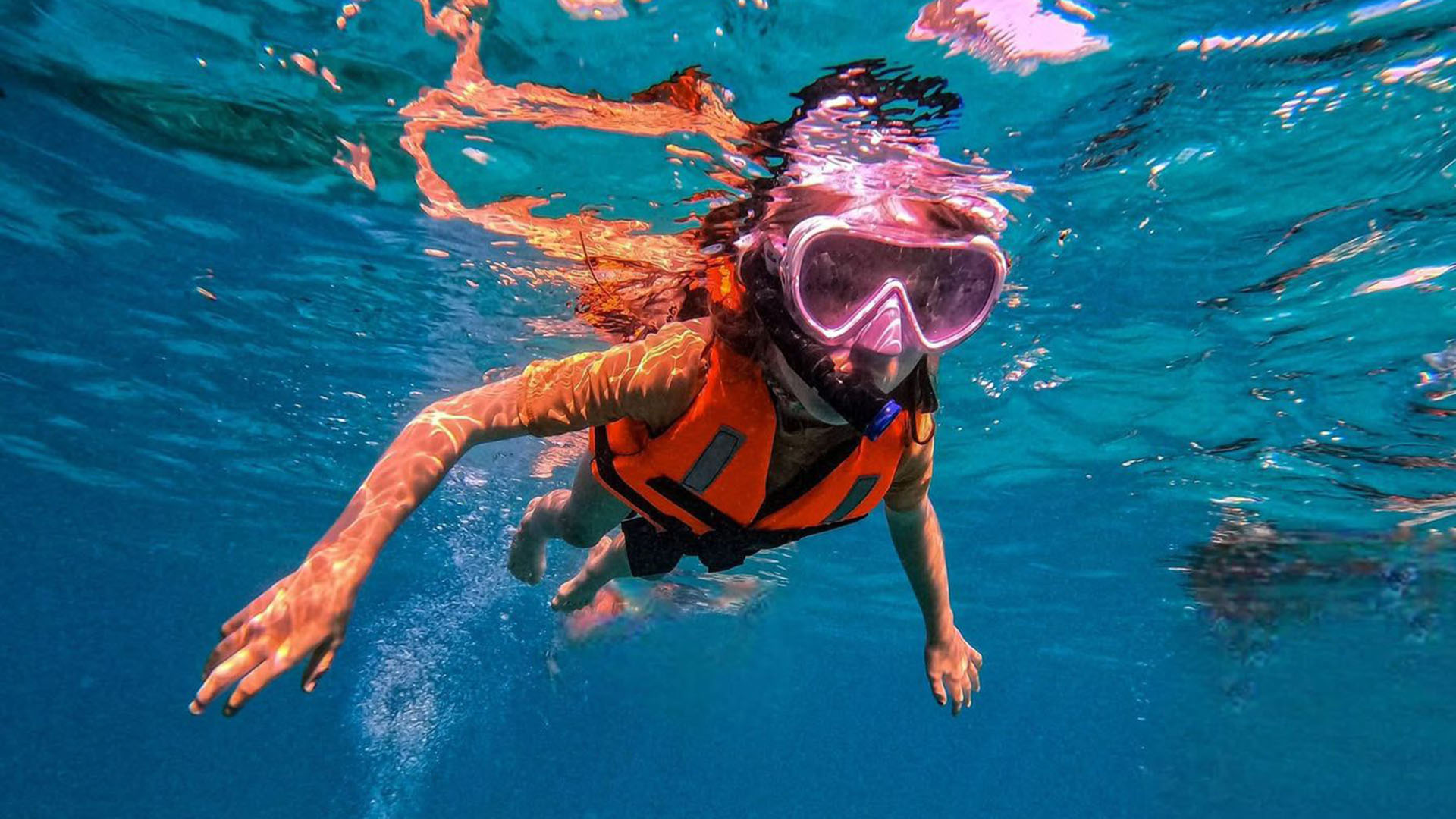 Wild sea turtles private snorkeling experience